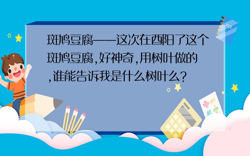 斑鸠豆腐——这次在酉阳了这个斑鸠豆腐,好神奇,用树叶做的,谁能告诉我是什么树叶么?