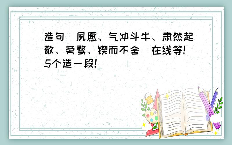 造句（夙愿、气冲斗牛、肃然起敬、旁骛、锲而不舍）在线等!5个造一段！