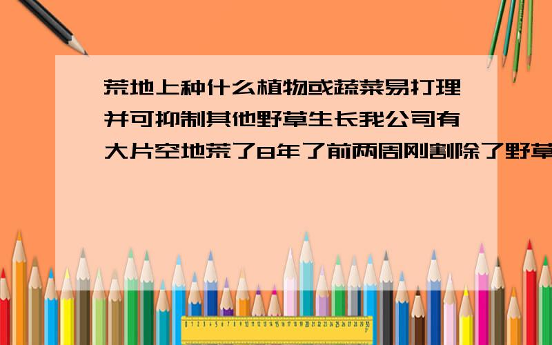 荒地上种什么植物或蔬菜易打理并可抑制其他野草生长我公司有大片空地荒了8年了前两周刚割除了野草,后续想种植一些植物或蔬菜,因是分给各个部门业余时间玩玩的主要目的是不要再长野