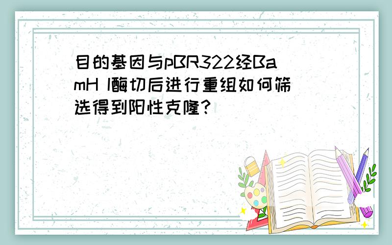 目的基因与pBR322经BamH I酶切后进行重组如何筛选得到阳性克隆?