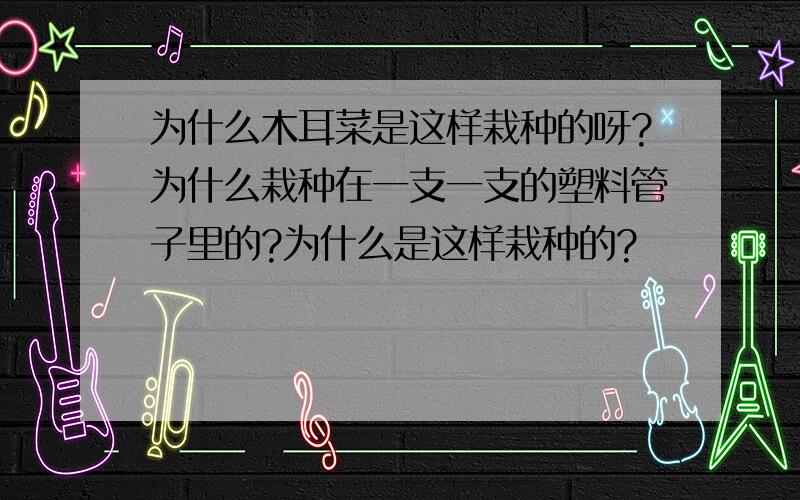 为什么木耳菜是这样栽种的呀?为什么栽种在一支一支的塑料管子里的?为什么是这样栽种的?