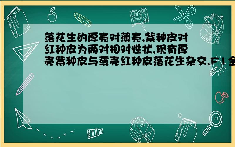 落花生的厚壳对薄壳,紫种皮对红种皮为两对相对性状,现有厚壳紫种皮与薄壳红种皮落花生杂交,F1全为厚壳紫种皮.在F2中,能够稳定遗传的薄壳紫种皮落花生为3966株,则能稳定遗传的厚壳红种