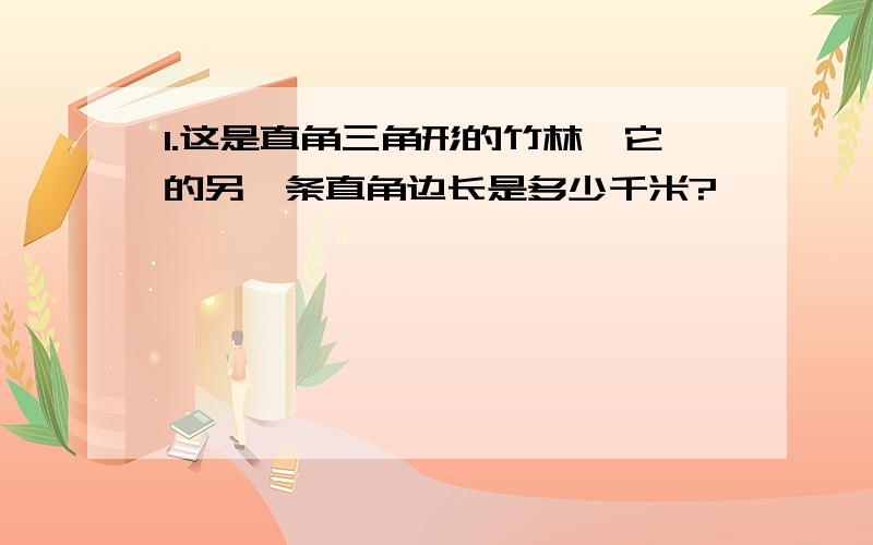 1.这是直角三角形的竹林,它的另一条直角边长是多少千米?