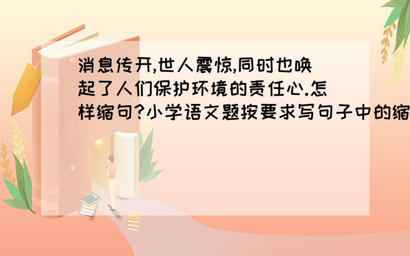 消息传开,世人震惊,同时也唤起了人们保护环境的责任心.怎样缩句?小学语文题按要求写句子中的缩句,敬请朋友们给出正确答案.急!