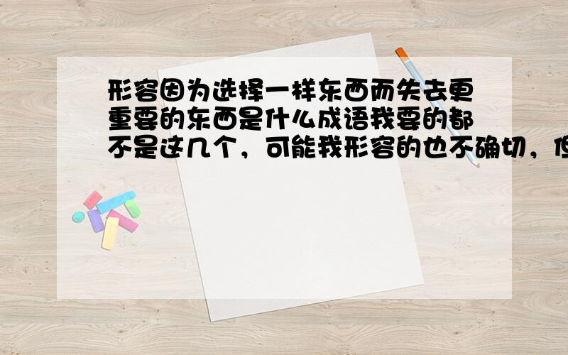 形容因为选择一样东西而失去更重要的东西是什么成语我要的都不是这几个，可能我形容的也不确切，但不是这几个