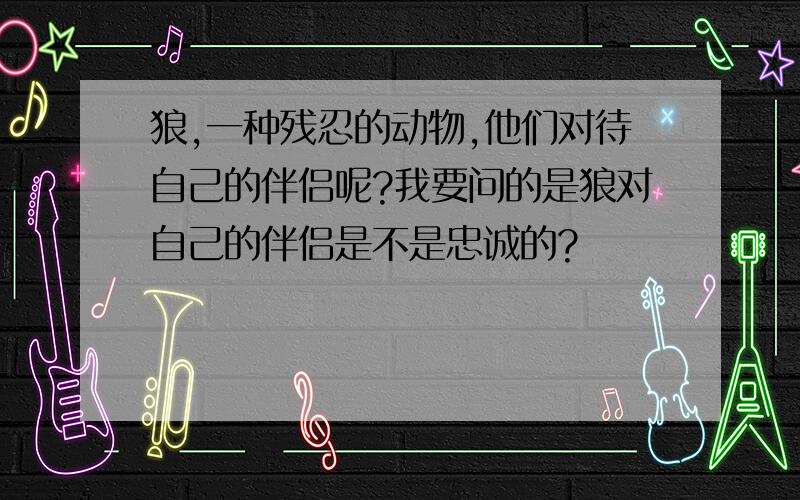 狼,一种残忍的动物,他们对待自己的伴侣呢?我要问的是狼对自己的伴侣是不是忠诚的?