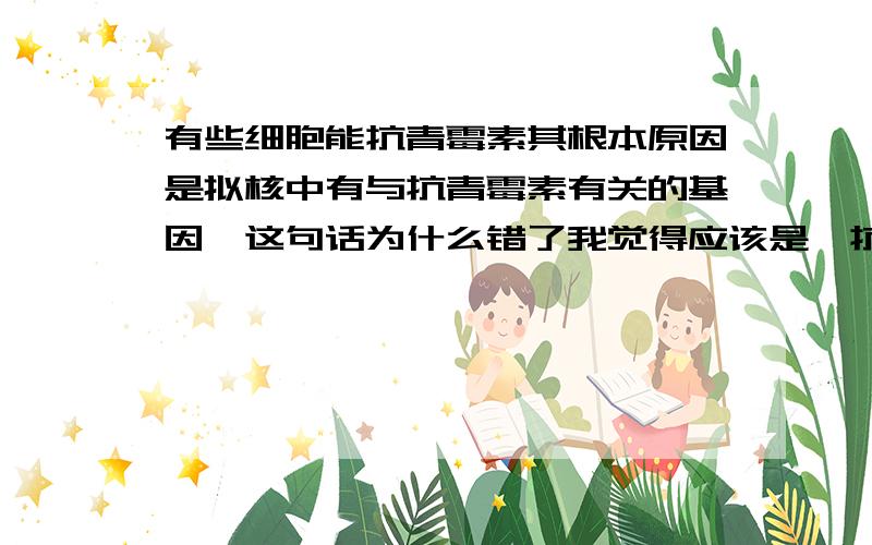 有些细胞能抗青霉素其根本原因是拟核中有与抗青霉素有关的基因,这句话为什么错了我觉得应该是,抗性基因在质粒上,所以在细胞质里,对不