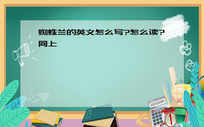 蜘蛛兰的英文怎么写?怎么读?同上