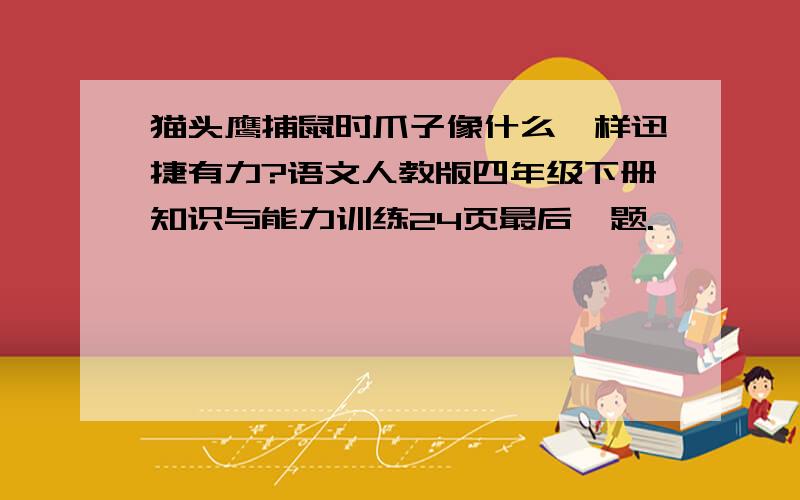 猫头鹰捕鼠时爪子像什么一样迅捷有力?语文人教版四年级下册知识与能力训练24页最后一题.