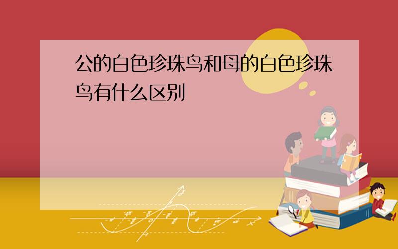 公的白色珍珠鸟和母的白色珍珠鸟有什么区别