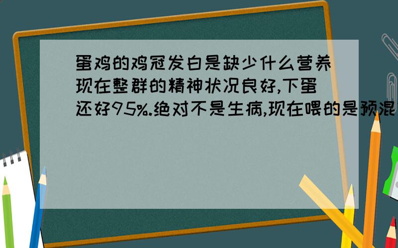 蛋鸡的鸡冠发白是缺少什么营养现在整群的精神状况良好,下蛋还好95%.绝对不是生病,现在喂的是预混料