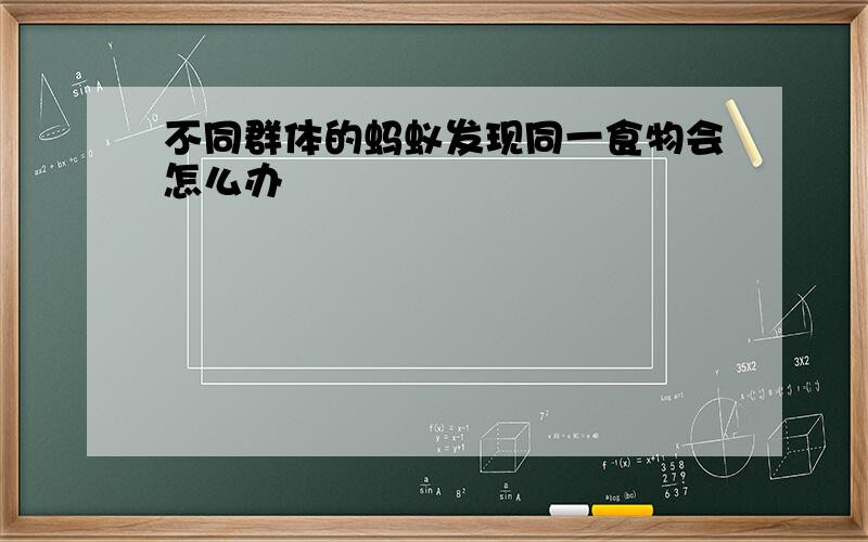 不同群体的蚂蚁发现同一食物会怎么办