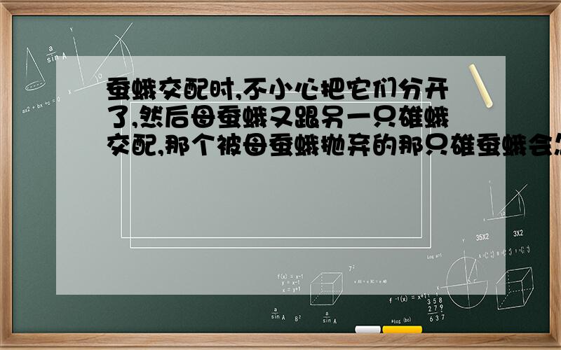 蚕蛾交配时,不小心把它们分开了,然后母蚕蛾又跟另一只雄蛾交配,那个被母蚕蛾抛弃的那只雄蚕蛾会怎么样蚕蛾在交配时,不小心把它们分开了,然后母蚕蛾又跟另一只雄蛾交配,那个被母蚕蛾