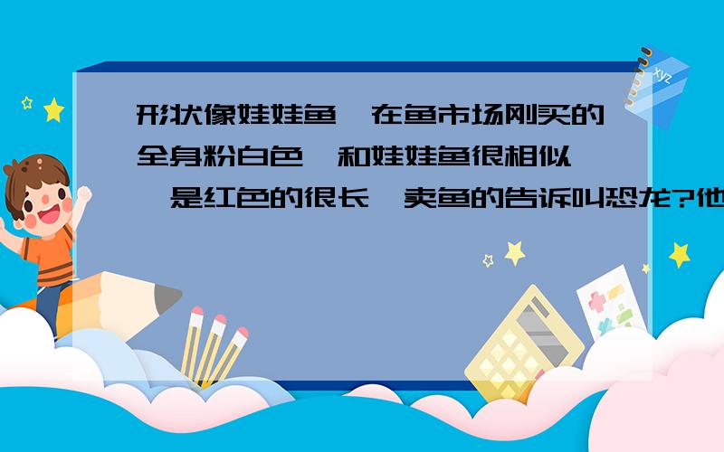 形状像娃娃鱼、在鱼市场刚买的全身粉白色、和娃娃鱼很相似、鳃是红色的很长、卖鱼的告诉叫恐龙?他是冷水的?