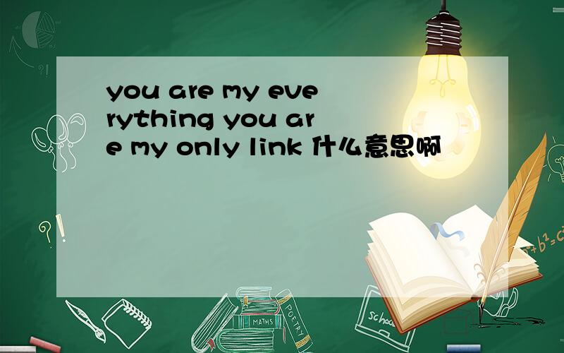 you are my everything you are my only link 什么意思啊