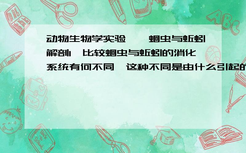 动物生物学实验——蛔虫与蚯蚓解剖1、比较蛔虫与蚯蚓的消化系统有何不同,这种不同是由什么引起的?2、比较蚯蚓和沙蚕的外形结构,说明它们与各自生活方式相适应的特征?