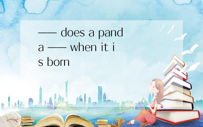 —— does a panda —— when it is born