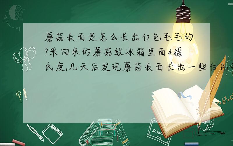 蘑菇表面是怎么长出白色毛毛的?采回来的蘑菇放冰箱里面4摄氏度,几天后发现蘑菇表面长出一些白色毛毛,那是什么东西啊,它又是经过怎样的化学过程形成的呢?