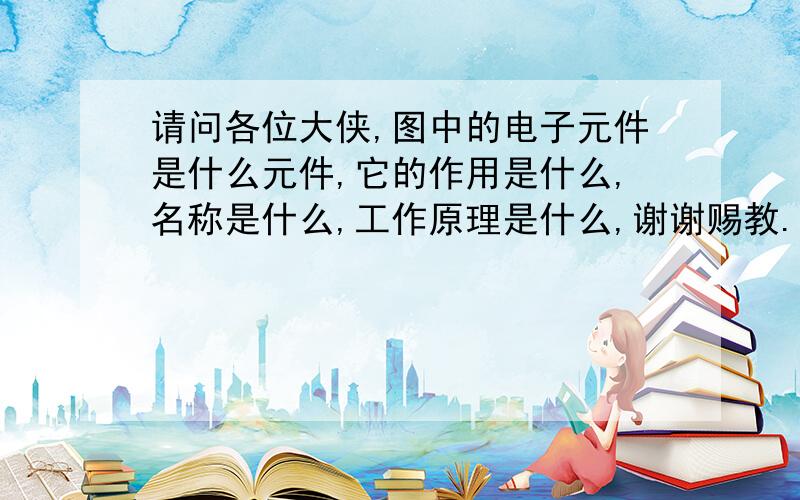 请问各位大侠,图中的电子元件是什么元件,它的作用是什么,名称是什么,工作原理是什么,谢谢赐教.