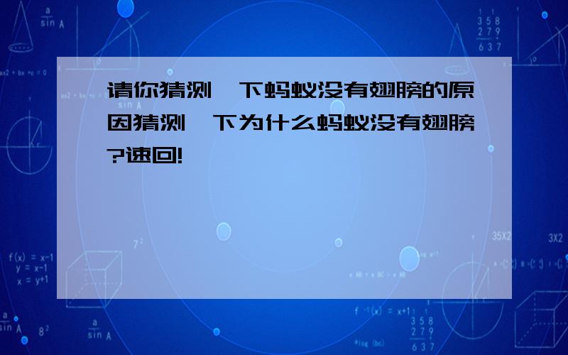 请你猜测一下蚂蚁没有翅膀的原因猜测一下为什么蚂蚁没有翅膀?速回!