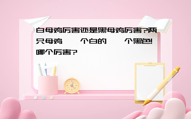 白母鸡厉害还是黑母鸡厉害?两只母鸡,一个白的,一个黑色!哪个厉害?