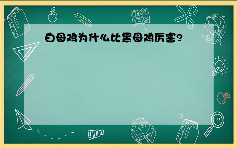 白母鸡为什么比黑母鸡厉害?