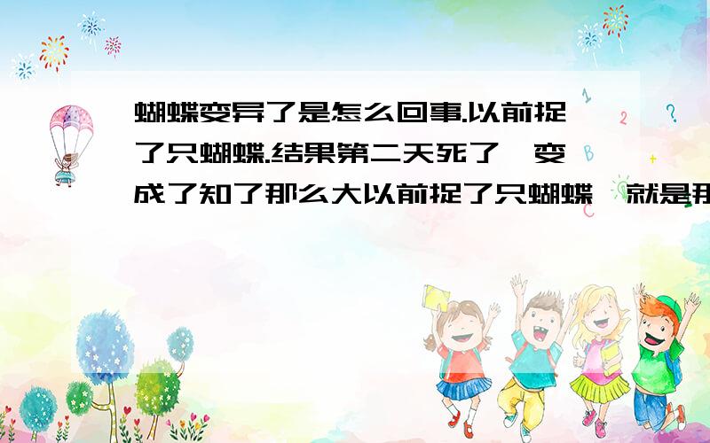 蝴蝶变异了是怎么回事.以前捉了只蝴蝶.结果第二天死了,变成了知了那么大以前捉了只蝴蝶,就是那种普通的橙色蝴蝶.有黑点点的那种,看他飞得不高.飞几步就停下.而且是在槐树叶上落下的.