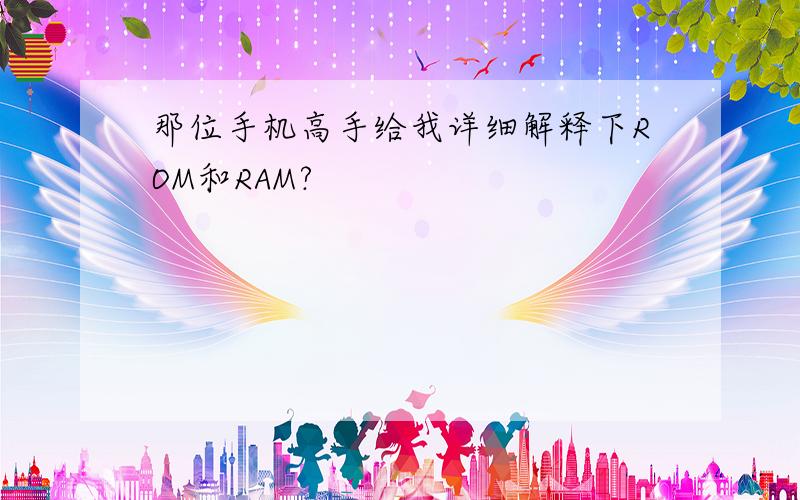 那位手机高手给我详细解释下ROM和RAM?