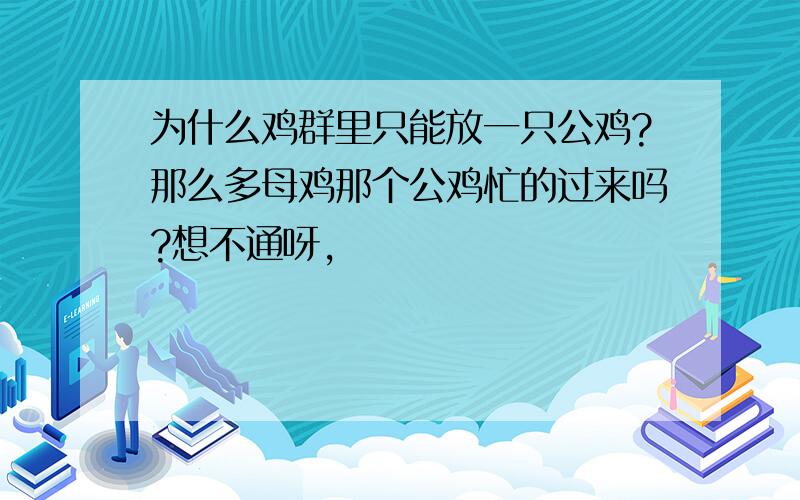 为什么鸡群里只能放一只公鸡?那么多母鸡那个公鸡忙的过来吗?想不通呀,