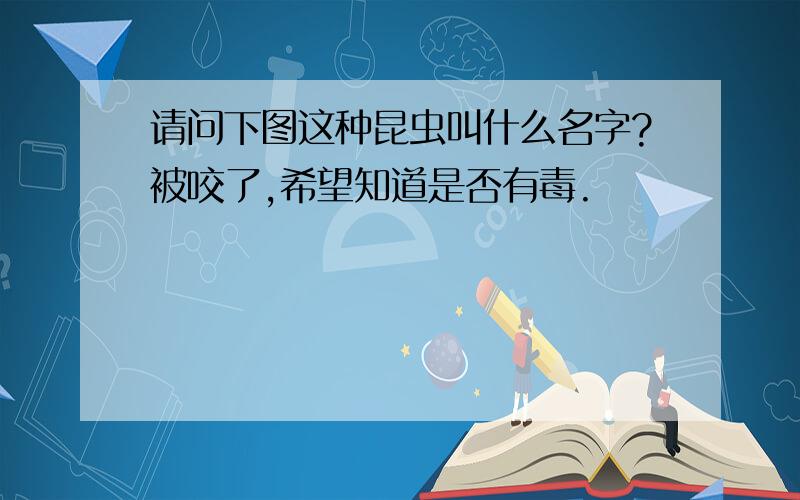 请问下图这种昆虫叫什么名字?被咬了,希望知道是否有毒.