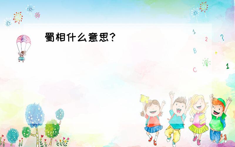 蜀相什么意思?