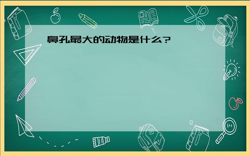 鼻孔最大的动物是什么?