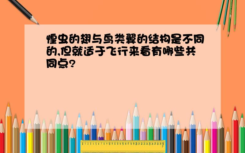 惶虫的翅与鸟类翼的结构是不同的,但就适于飞行来看有哪些共同点?