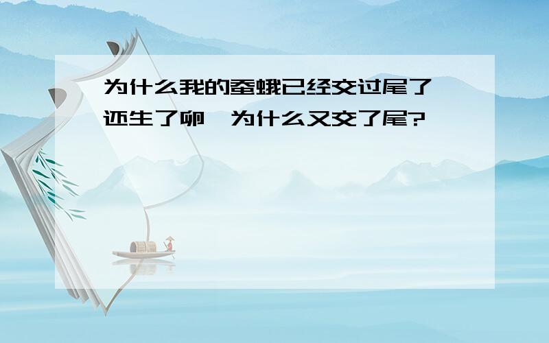 为什么我的蚕蛾已经交过尾了,还生了卵,为什么又交了尾?