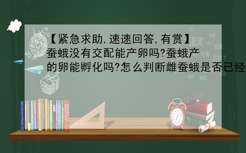 【紧急求助,速速回答,有赏】蚕蛾没有交配能产卵吗?蚕蛾产的卵能孵化吗?怎么判断雌蚕蛾是否已经交配了呢?