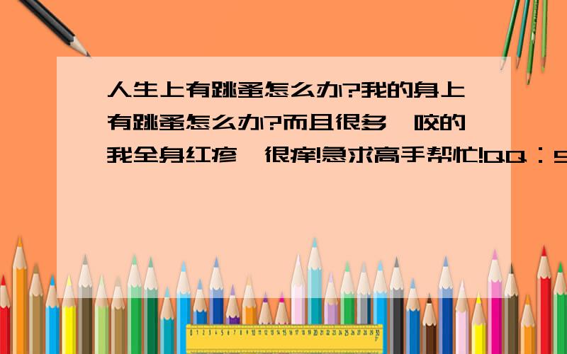 人生上有跳蚤怎么办?我的身上有跳蚤怎么办?而且很多,咬的我全身红疹,很痒!急求高手帮忙!QQ：508639983