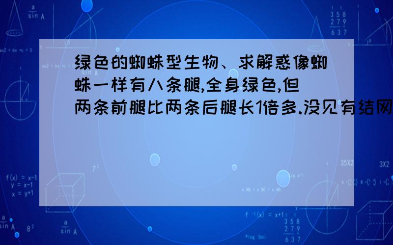 绿色的蜘蛛型生物、求解惑像蜘蛛一样有八条腿,全身绿色,但两条前腿比两条后腿长1倍多.没见有结网.也有蜘蛛一样的肚子但不大.