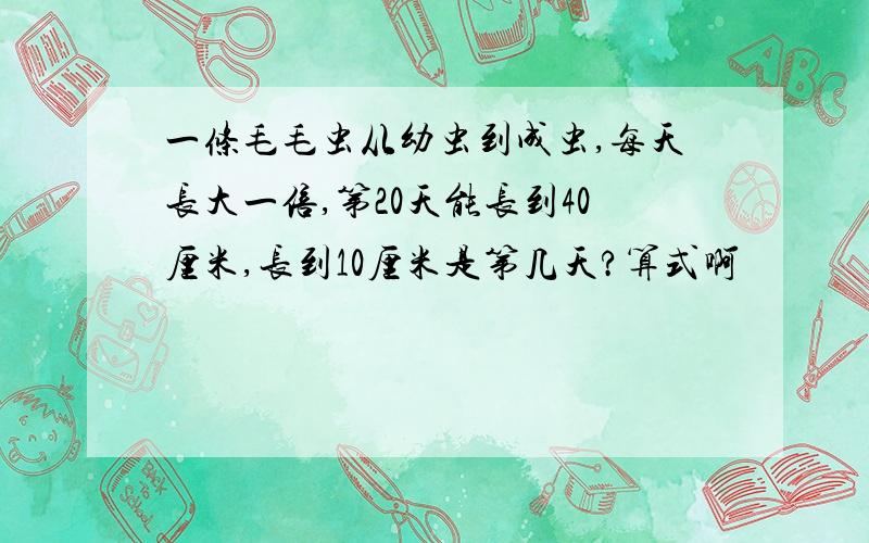 一条毛毛虫从幼虫到成虫,每天长大一倍,第20天能长到40厘米,长到10厘米是第几天?算式啊