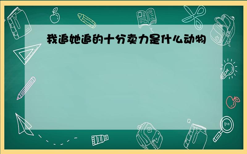 我追她追的十分卖力是什么动物