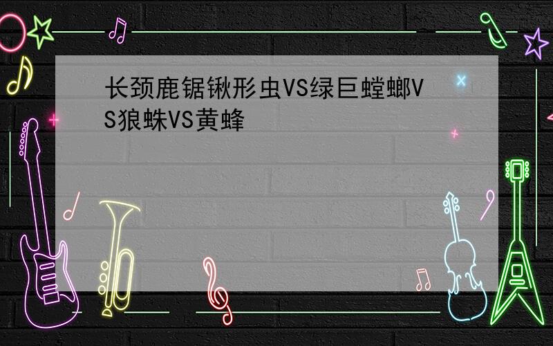 长颈鹿锯锹形虫VS绿巨螳螂VS狼蛛VS黄蜂