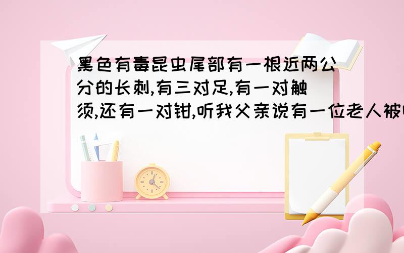 黑色有毒昆虫尾部有一根近两公分的长刺,有三对足,有一对触须,还有一对钳,听我父亲说有一位老人被咬,抢救都来不及,