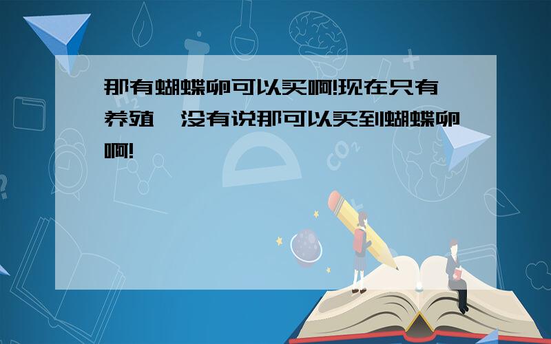 那有蝴蝶卵可以买啊!现在只有养殖,没有说那可以买到蝴蝶卵啊!