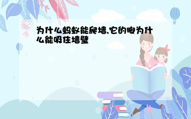 为什么蚂蚁能爬墙,它的脚为什么能吸住墙壁