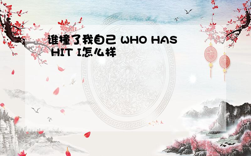 谁撞了我自己 WHO HAS HIT I怎么样