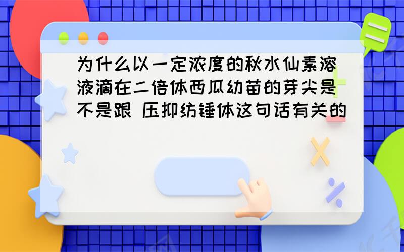 为什么以一定浓度的秋水仙素溶液滴在二倍体西瓜幼苗的芽尖是不是跟 压抑纺锤体这句话有关的