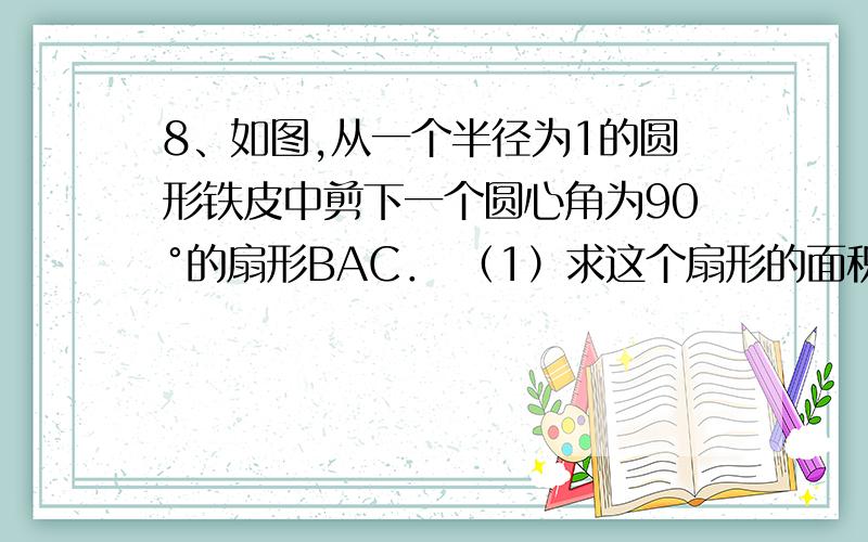 8、如图,从一个半径为1的圆形铁皮中剪下一个圆心角为90°的扇形BAC． （1）求这个扇形的面积；8、如图,从一个半径为1的圆形铁皮中剪下一个圆心角为90°的扇形BAC．（1）求这个扇形的面积