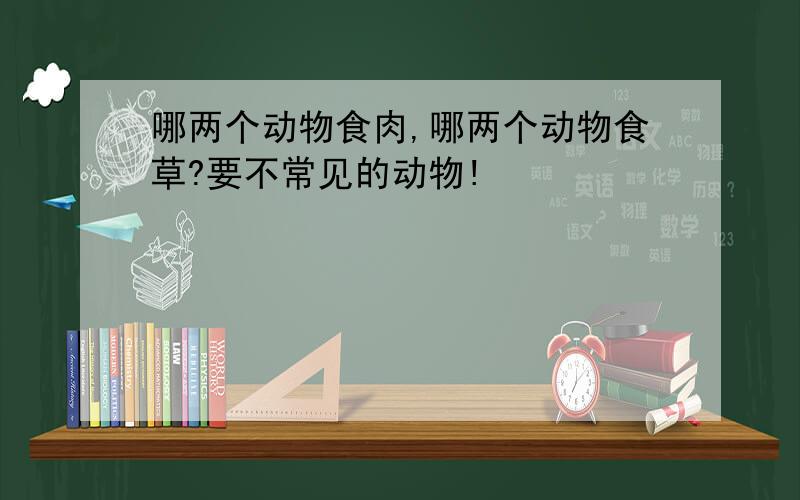 哪两个动物食肉,哪两个动物食草?要不常见的动物!