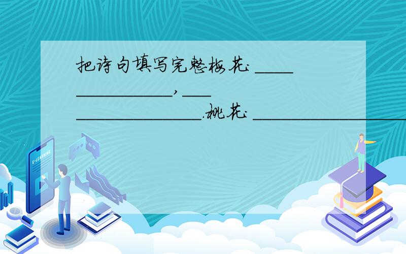 把诗句填写完整梅花：______________,________________.桃花：________________,_________________.菊花：_________________,___________________.荷花：___________________,_________________.（我也不知道是应该是继续填写下去