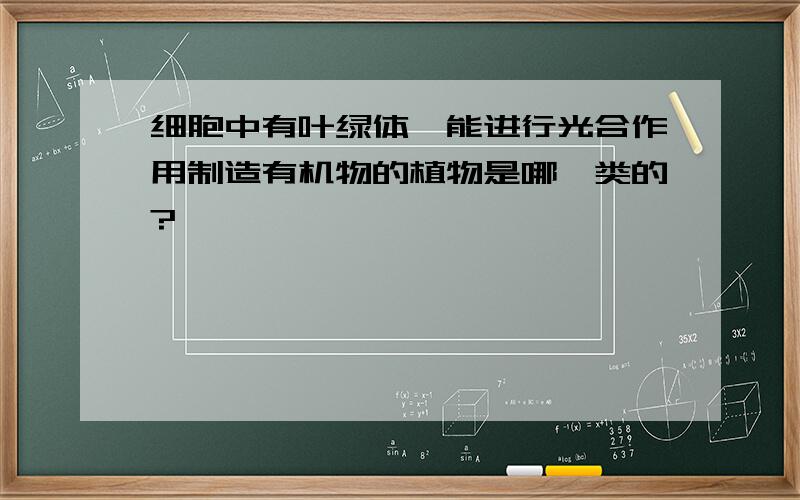 细胞中有叶绿体,能进行光合作用制造有机物的植物是哪一类的?