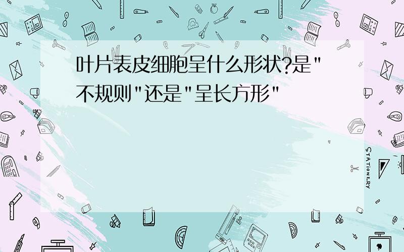 叶片表皮细胞呈什么形状?是